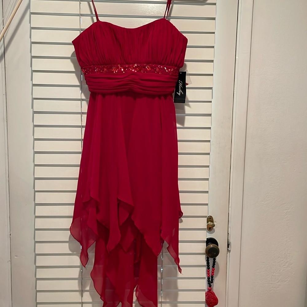Hailey Red Dress, Size 4, Brand New